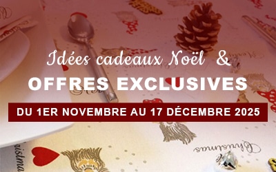 Noël approche : découvrez nos offres exclusives et nos plus belles idées cadeaux !
