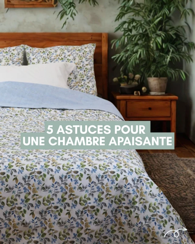 🌿 Et si votre chambre devenait votre havre de paix ?

Découvrez nos 5 astuces simples pour transformer votre chambre en un cocon apaisant, propice à la détente et au sommeil 😴

✨ Couleurs douces
✨ Matières naturelles
✨ Lumières tamisées
✨ Espace désencombré
✨ Et une touche de verdure

Chaque détail compte pour se sentir bien chez soi 🤍

Swipez 👉 et inspirez-vous pour créer votre ambiance idéale.

📩 Et vous, c’est quoi votre secret pour une chambre apaisante ? Dites-nous en commentaire 👇

#HomeSweetHome #ChambreZen #ConseilsMaison #LingeDeLit #Linandelle #lingedemaison #astucechambre #decochambre