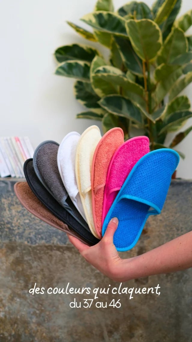 On a sorti LA gamme qui met tout le monde d’accord : des patins SPA ultra confort, du 37 au 46 😎

Question qui fâche : tu prends quelle couleur ? 👀

--

Linandelle, créateur de linge de maison depuis plus de 40 ans 🤍
Tissus naturels et durables : lin, coton, nid d’abeille, éponge… Produits 100% français et portugais 🇫🇷🇵🇹 : draps, housses de couette, torchons, plaids, serviettes, tote bags…Pensés pour le confort, le style et la maison 🌿

Made in France Linge de maison Lin Textile durable Décoration intérieure Patins SPA Confort Bien-être Maison Cocooning