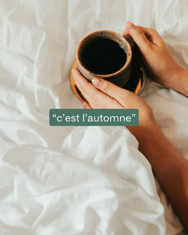 🍂 Quand tout le monde pleure la fin de l’été…
Nous on se dit : ✨ chocolat chaud, plaid moelleux, siestes sous la couette → la meilleure saison commence ! 🛏️☕

👉 Team « l’automne c’est la vie » ou team « je veux rester en été » ? 👀

#Linandelle #Automne #Cocooning #LingeDeMaison #Plaid #Draps #Confort